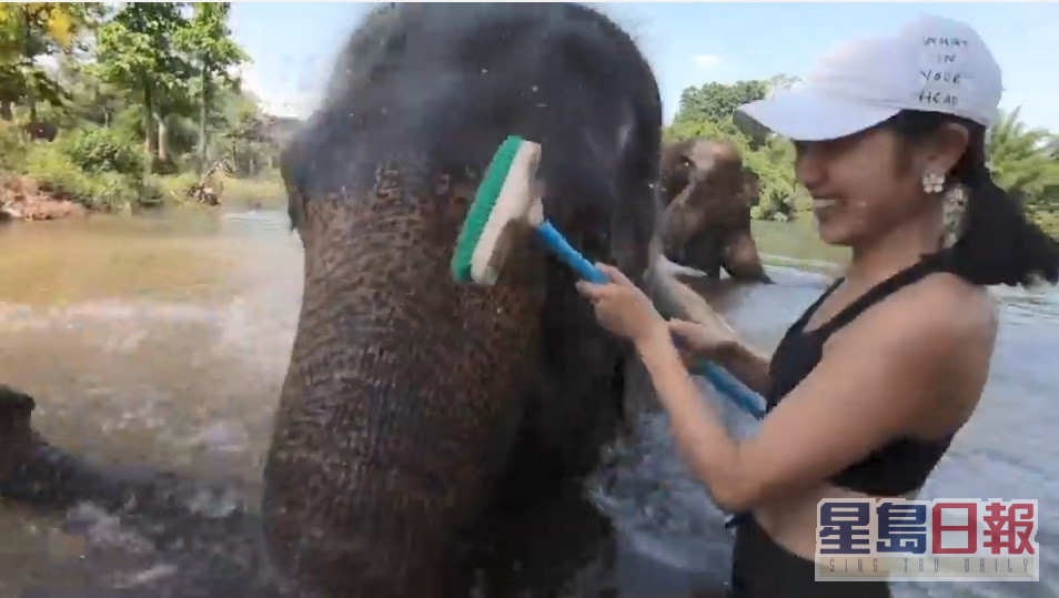 幫大象沖涼，仲被大象用水噴番，好搞笑。