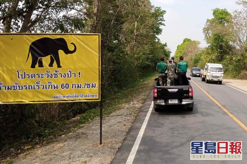 公路上的告示牌寫着「小心野生大象！禁止車速超過60公里」。互聯網圖片