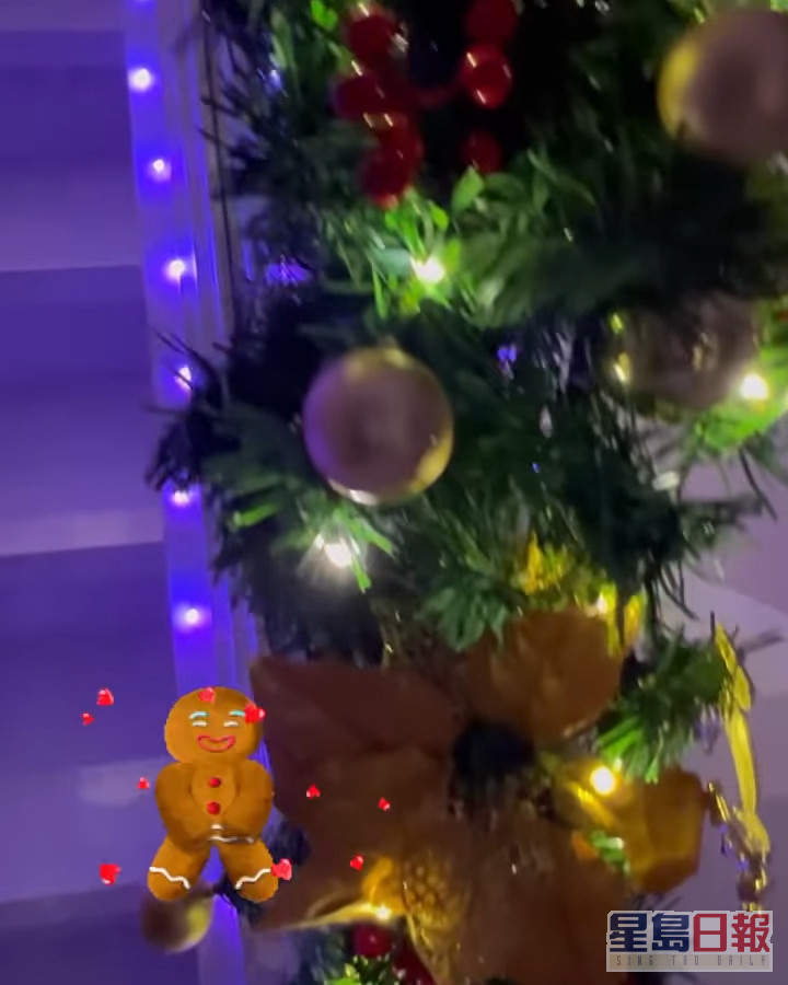 屋内连接上层的楼梯亦挂上灯饰，令家中充满圣诞气氛。
