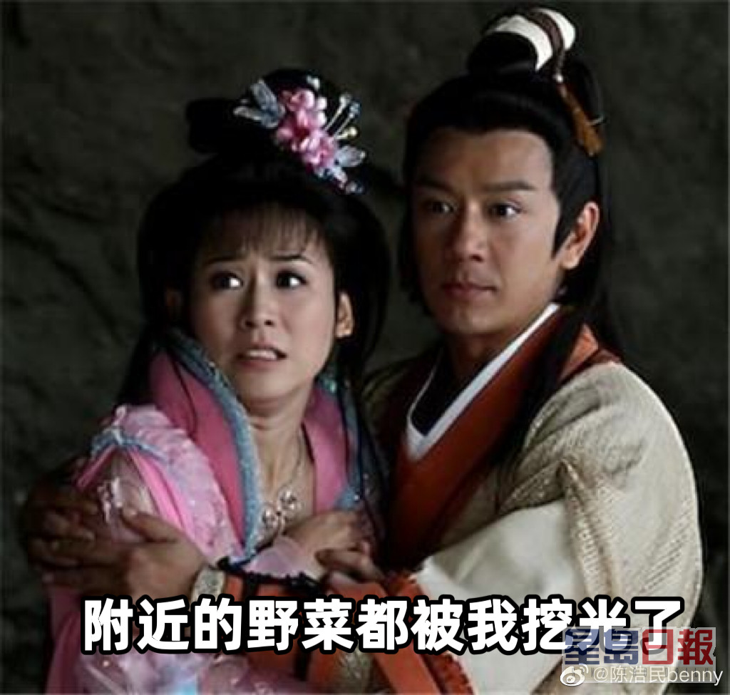 陳浩民今日（19日）更於微博上載多張以《薛平貴與王寶釧》劇照製成的表情包再抽水。
