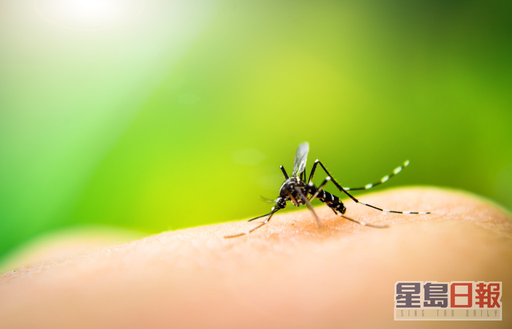 瘧疾是由受感染的雌性瘧蚊傳播的疾病。istock圖片