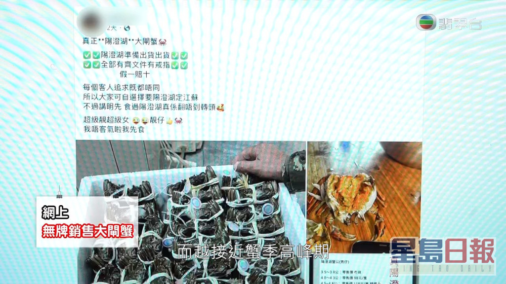 好多网上声称有大闸蟹卖嘅网店都系无牌出售。