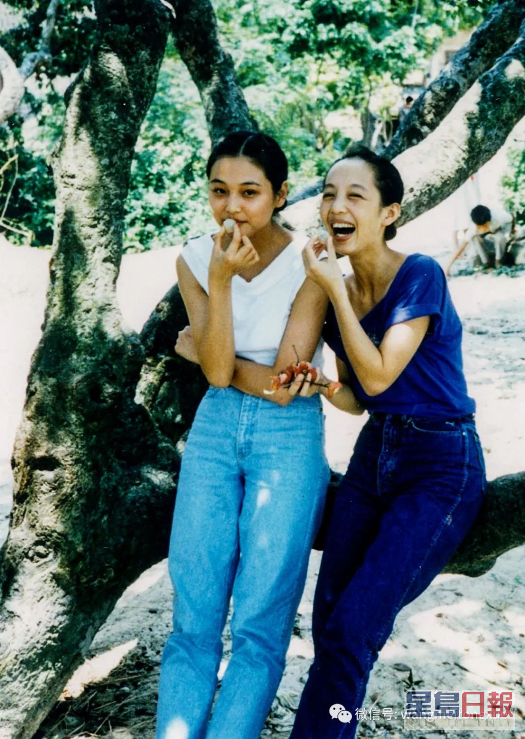 张延（左）1991年从广东舞蹈学校毕业后加入广东实验现代舞团，翌年考入TVB在内地华南理工开设的第二期艺员训练班。