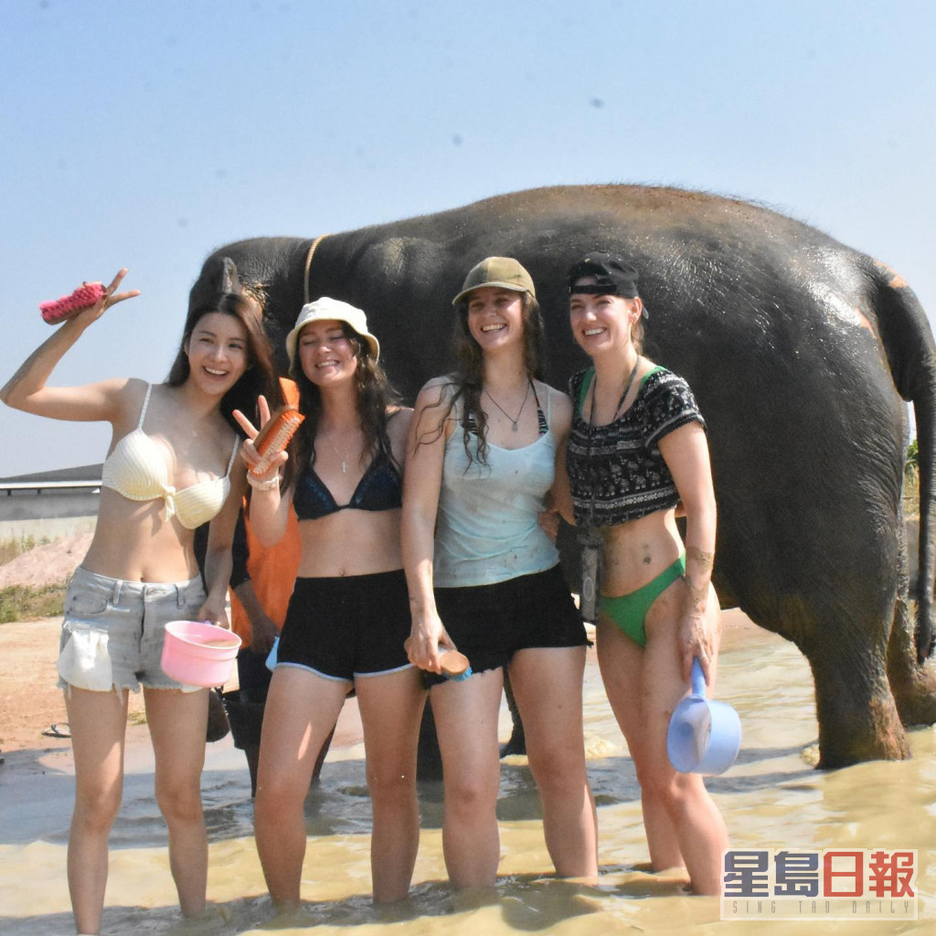 陈欣妍（左）穿三点式摸大象。