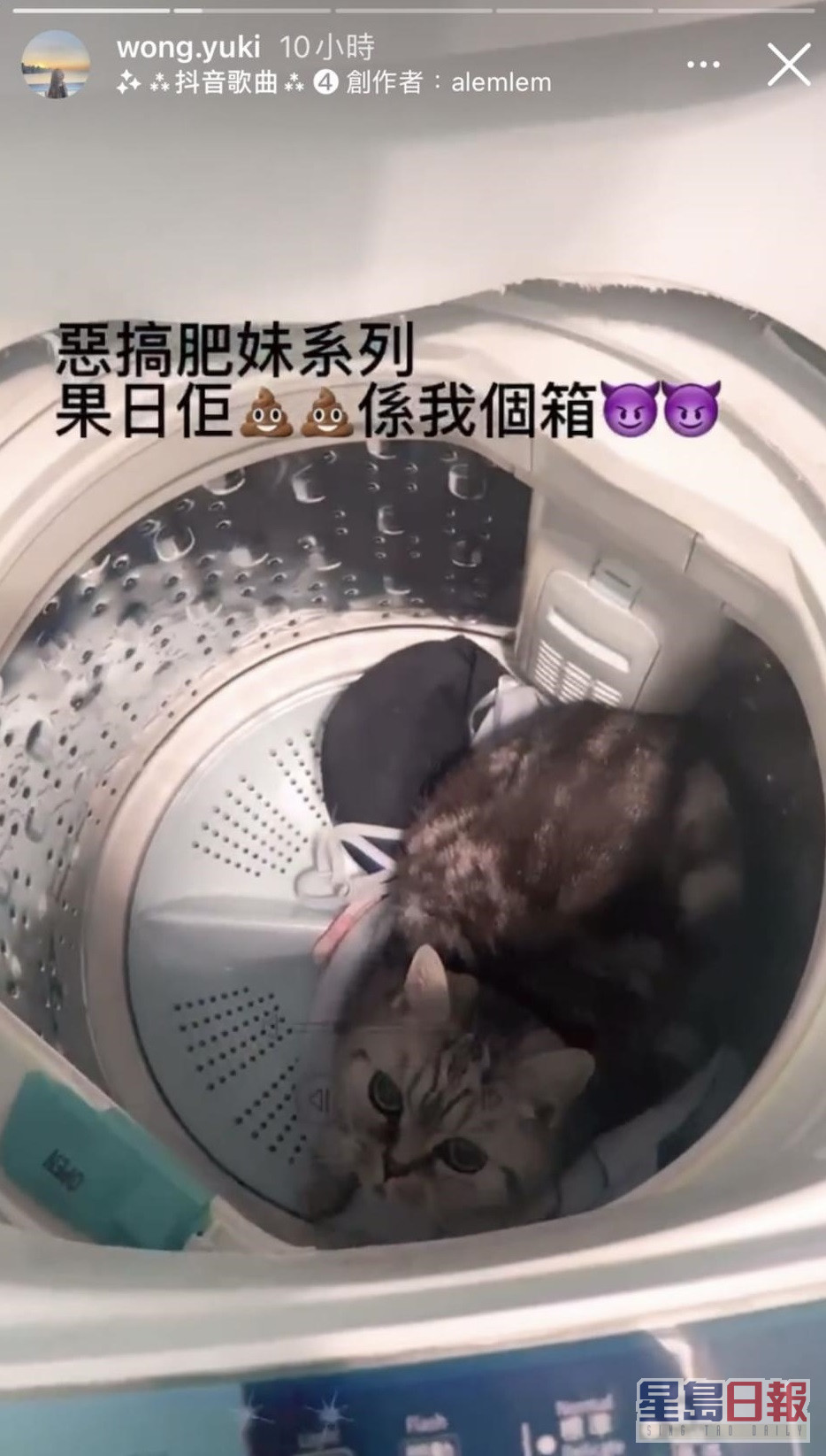 因家猫在内衣箱内便溺，黄绮婷将其放入洗衣机。