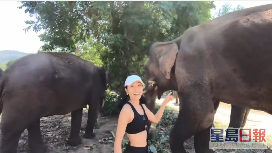姜麗文去探訪大象保護區，近距離接觸大象。