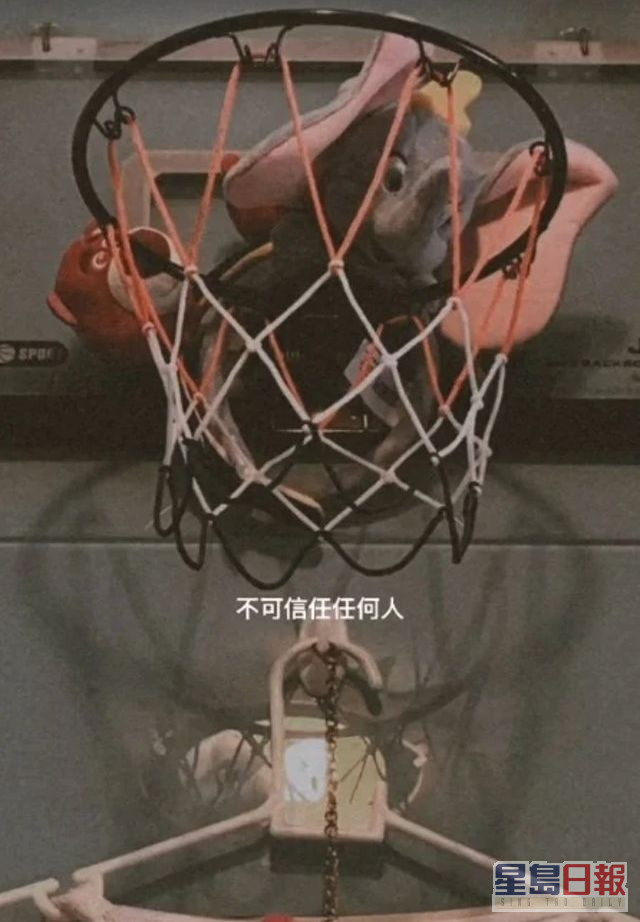 姚焯菲嘅緋聞男友上載咗「小菲象」掛喺籃球網內，個樣好慘情。