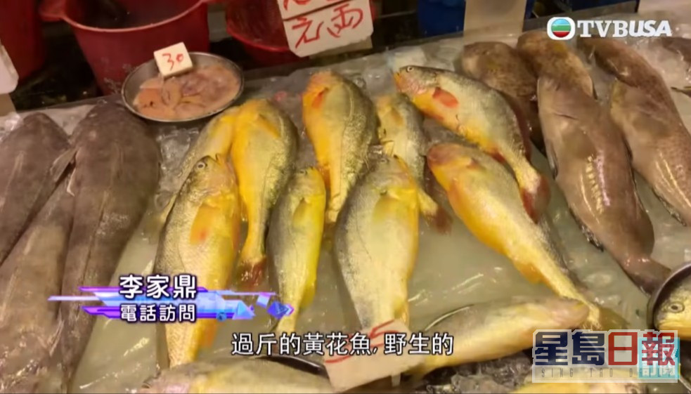 網傳魚檔出售標價六千元的本灣海黃花魚一事，吸引不少觀眾收看。