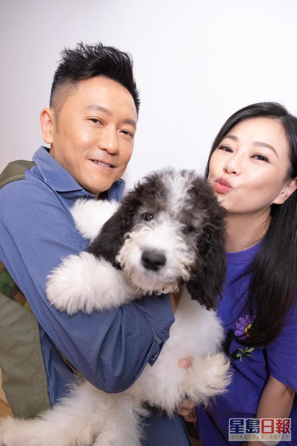 苏志威和刘小慧养有多只名种爱犬。
