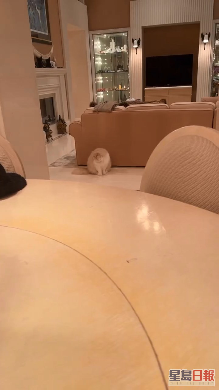 昨日（16日）何超莲于IG限时动态分享影着爱猫的片段，却曝光了家中的奢华巨厅。