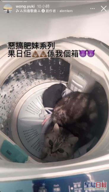 黃嘉雯胞姊早前為懲罰貓貓，放入洗衣機旋轉14秒。