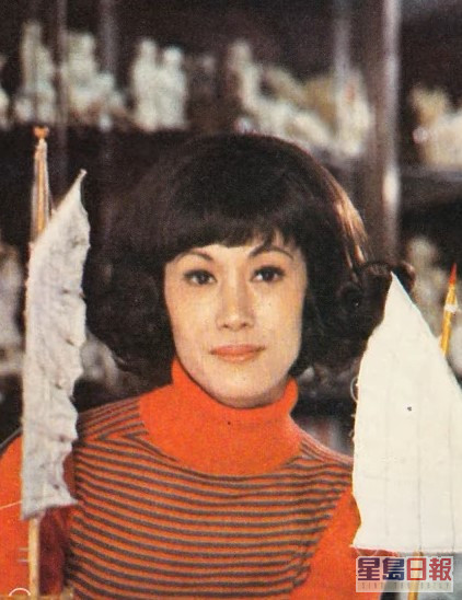 白茵70年代加入丽的映声（丽的电视前身）后展开拍剧生涯。