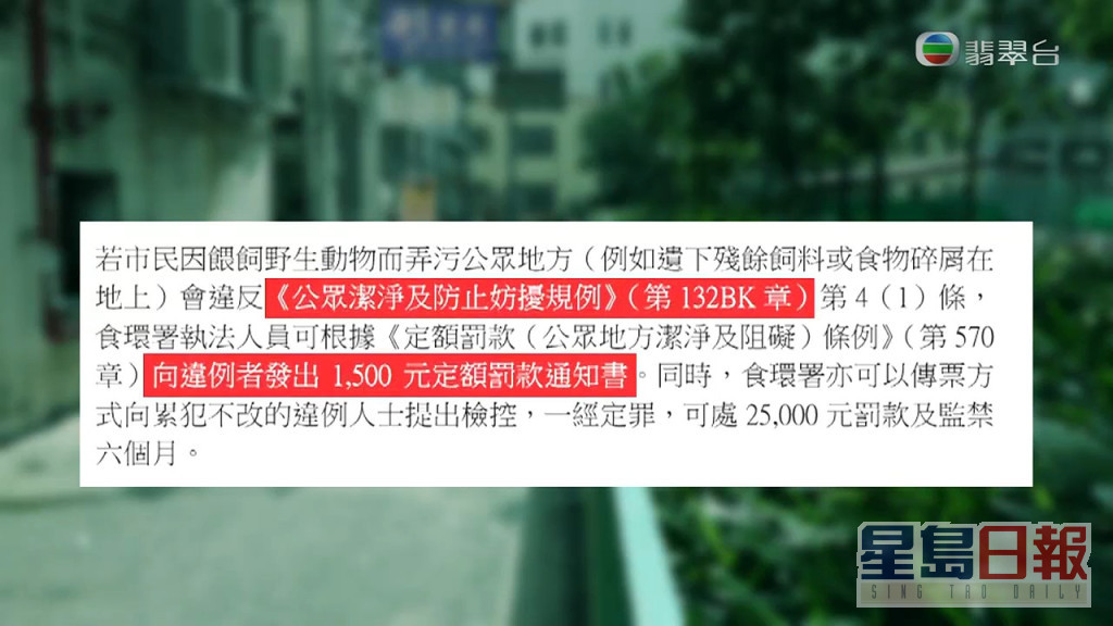 食环署则表示，市民喂饲野生动物弄污地方，会被罚款1,500元。