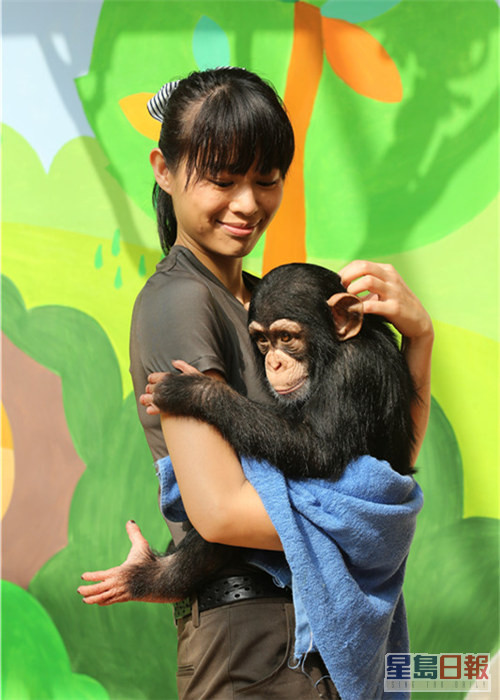 胡杏儿曾经拍内地节目《奇妙的朋友》要照顾星猩猩。