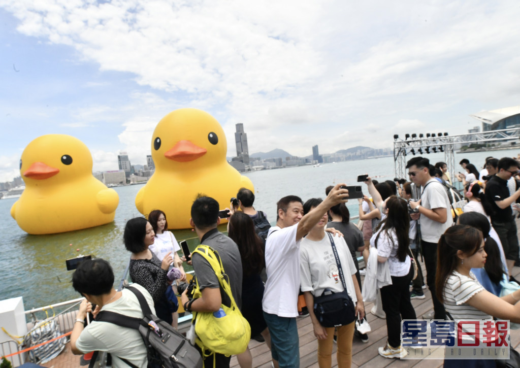 不少市民今早两只仍于中环海滨和两只巨型黄色「橡皮鸭」打卡。禇乐琪摄