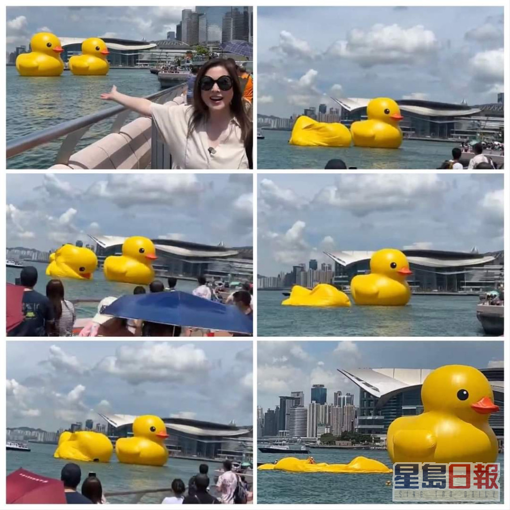 最爱香港嘅李婉华返港后响应追黄鸭潮，去到打卡位目击变片皮鸭过程。