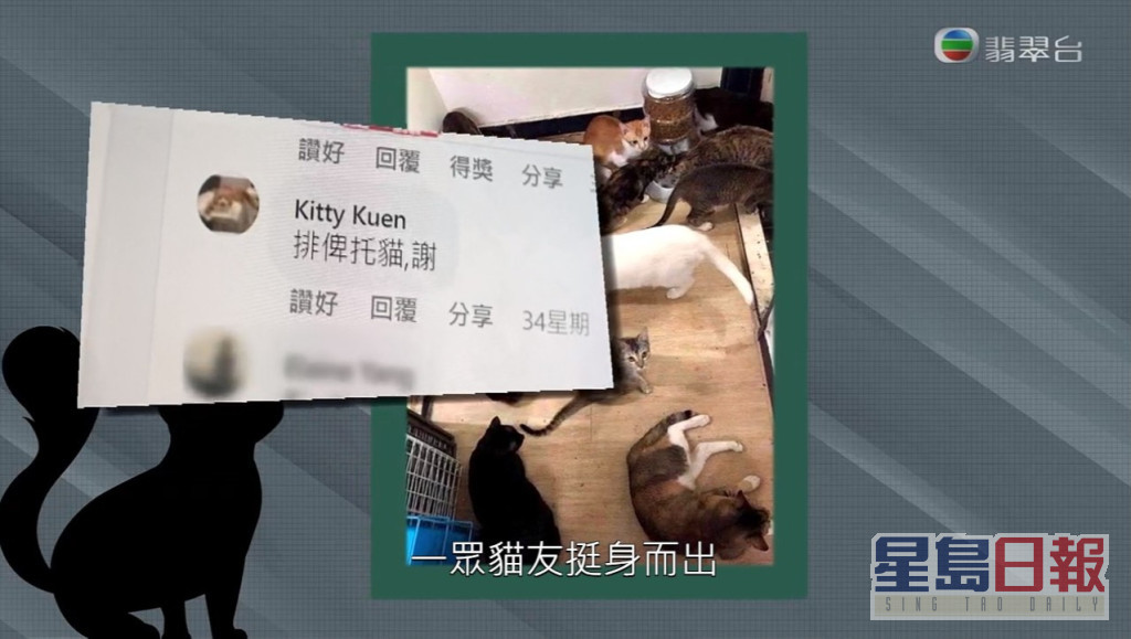《东张西望》报导有多位猫友疑被一名假猫义工呃物资。