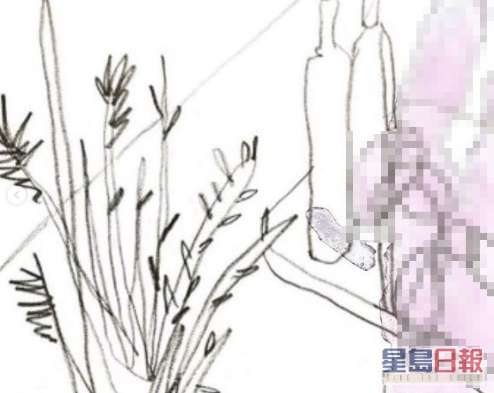 網民指這幅畫作疑有男性性器官，憂韓韶禧暗示被逼性接待。  ​