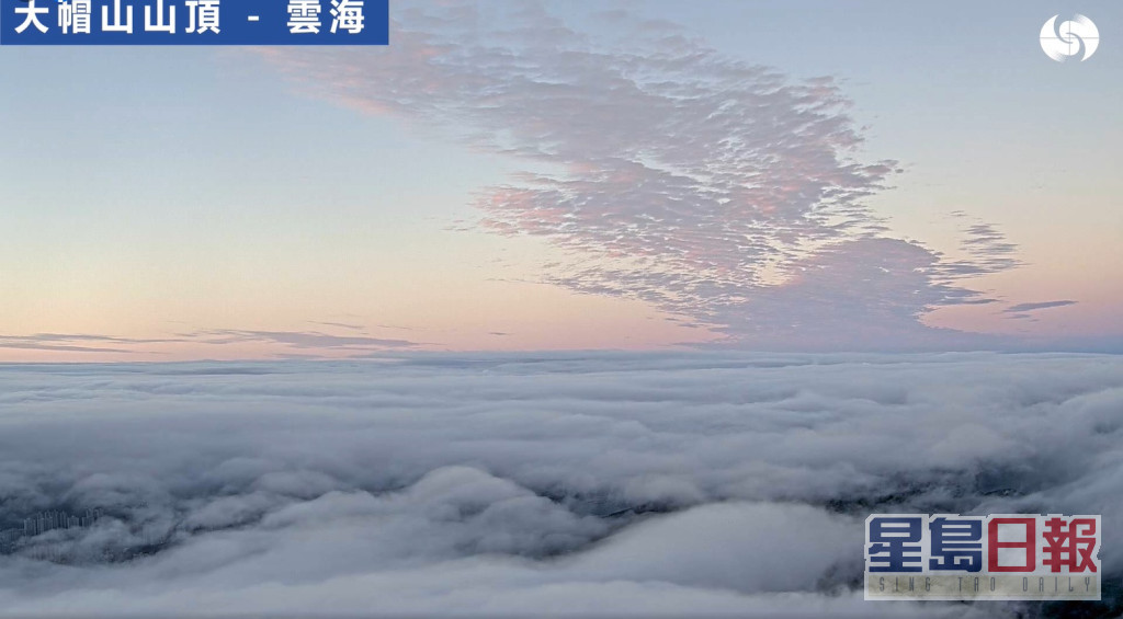 大帽山顶出现云海美景。天文台FB截图