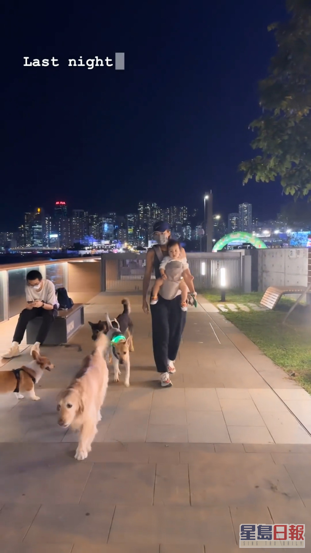 梁諾妍又貼出孭住囡囡散步的短片，更有3隻大狗護駕。
