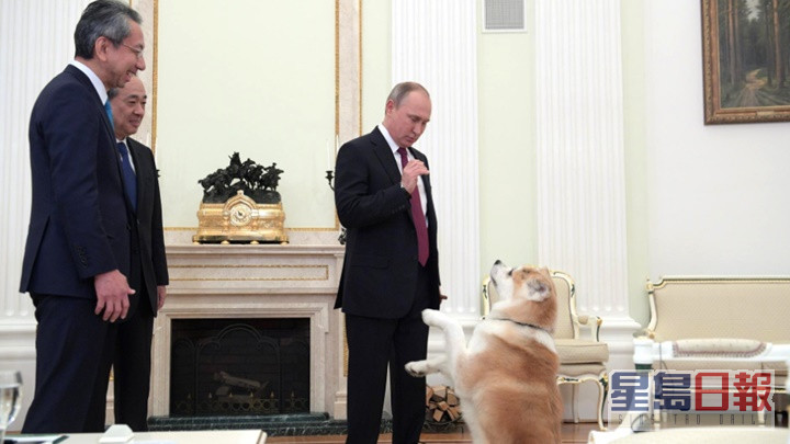 普京展示馴犬能力。網上圖片