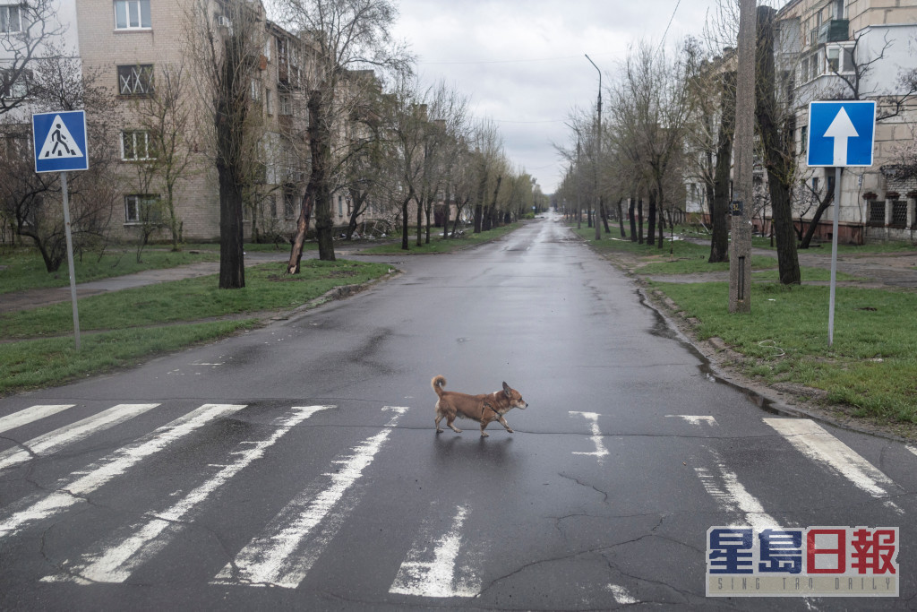 經過3個月戰火洗禮盧甘斯克地區一條街道空無一人。REUTERS