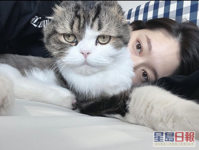 朴信惠不時分享跟愛貓的照片，但都不見肚。
