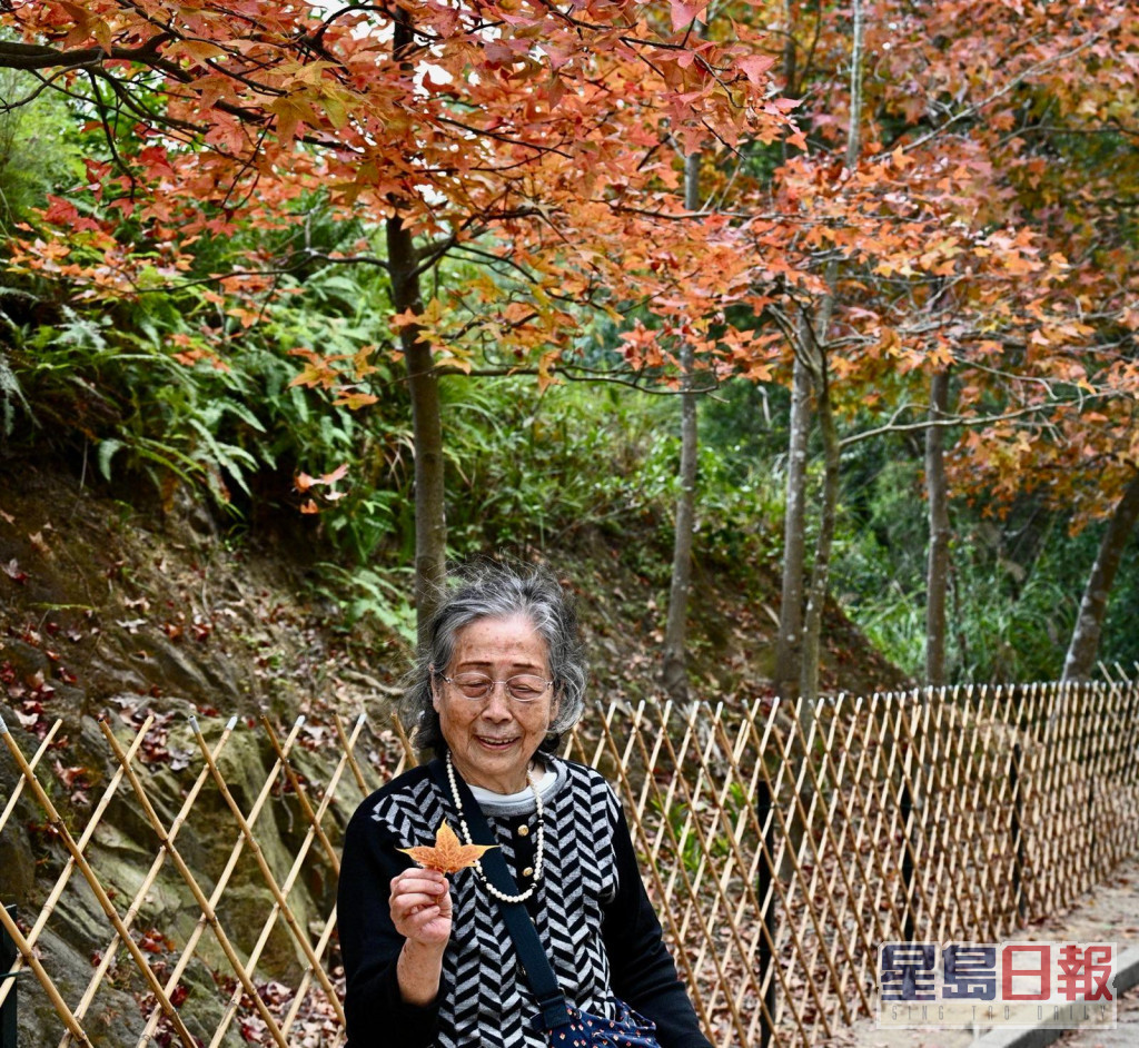 红叶下聚集多人拍照打卡。