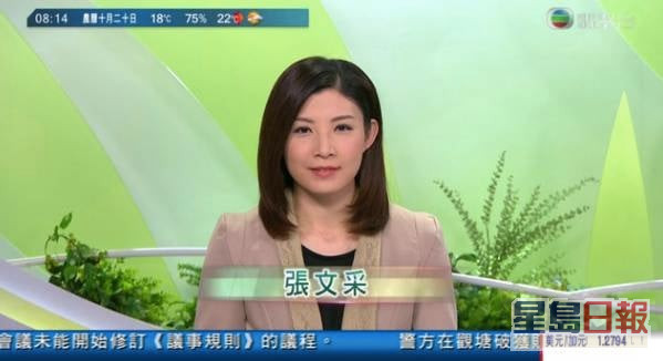 張文采於2009年加入TVB，任職新聞台及互動新聞台的主播。