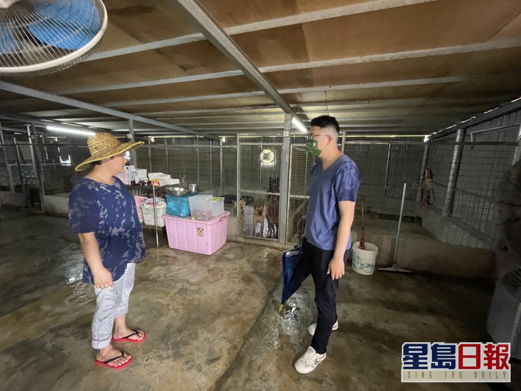 刘国勋到访位于粉岭、收容约超过100只动物的「傻妈流浪猫狗之家」。