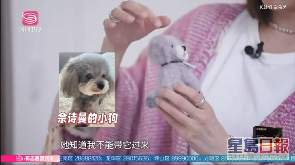 床頭櫃有狗狗公仔，代表香港的愛犬。