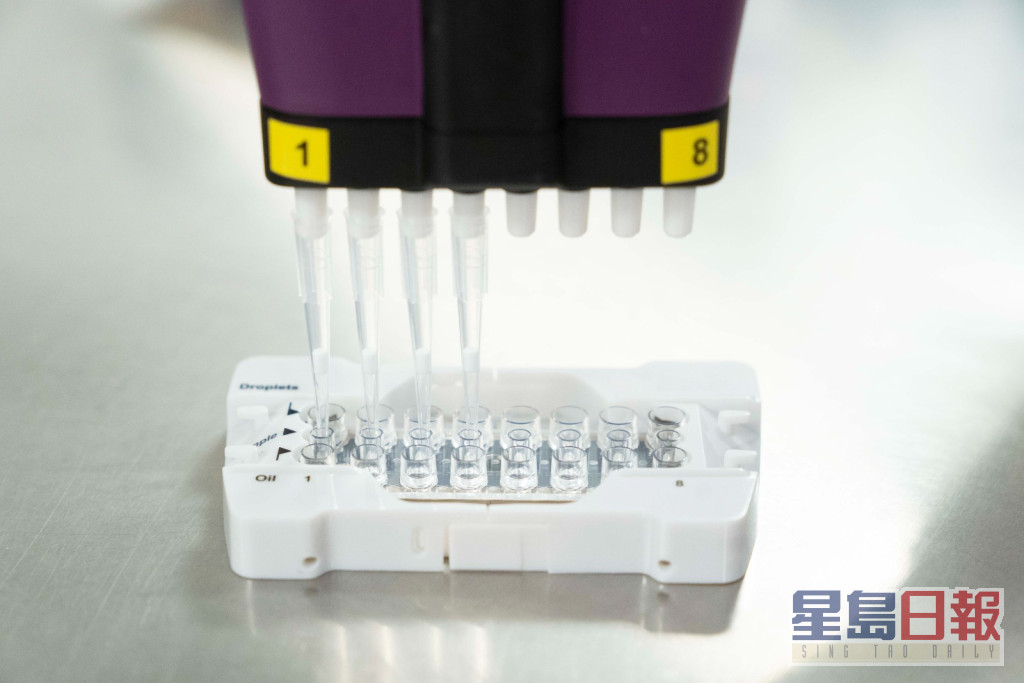養和採用數碼滴液 PCR 化驗技術。