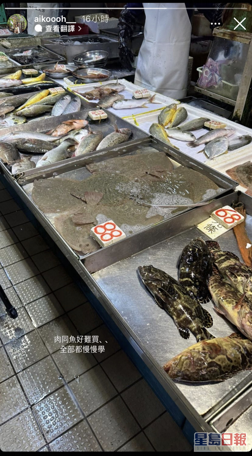 大呻魚同肉都好難買，相信好多香港人都有同感！
