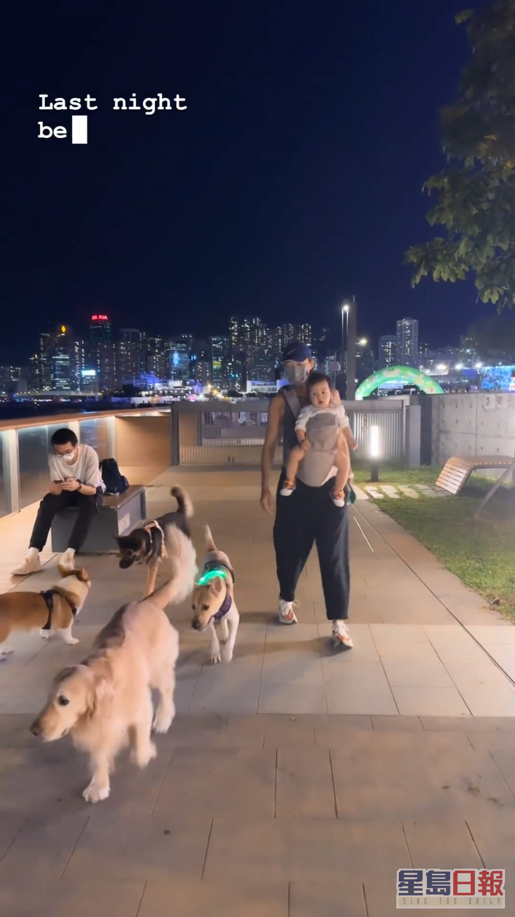 梁诺妍又贴出孭住囡囡散步的短片，更有3只大狗护驾。