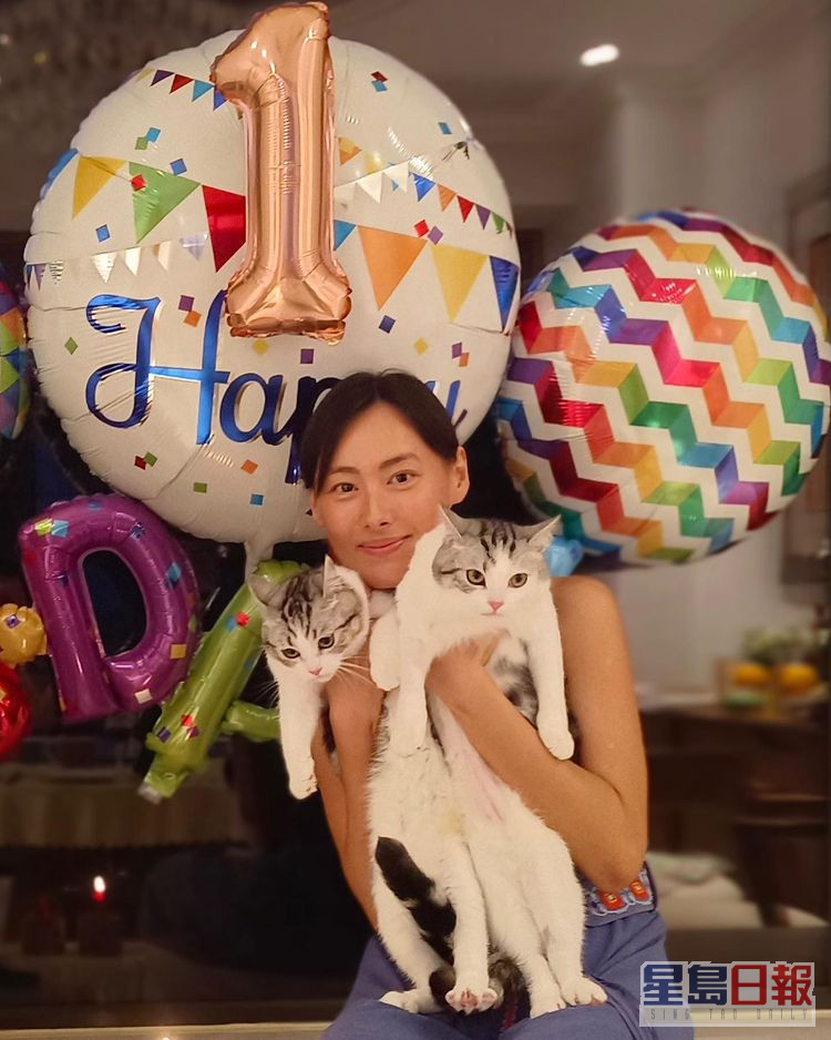 昨日貼出為貓貓慶祝生日的相片。