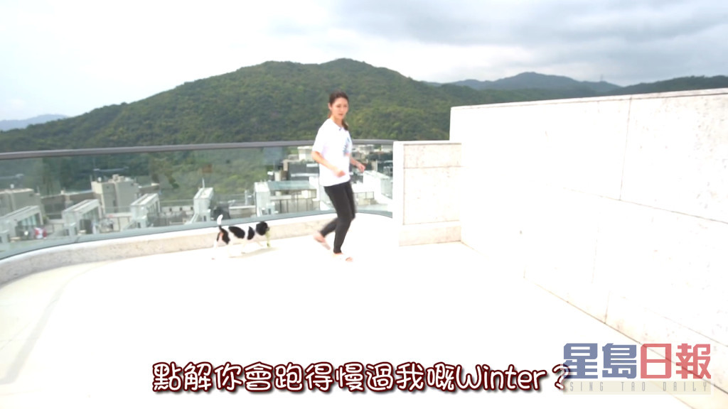 陈庭欣爱犬在630尺天台奔跑的影片，空间大到令部份网民表示羡慕。