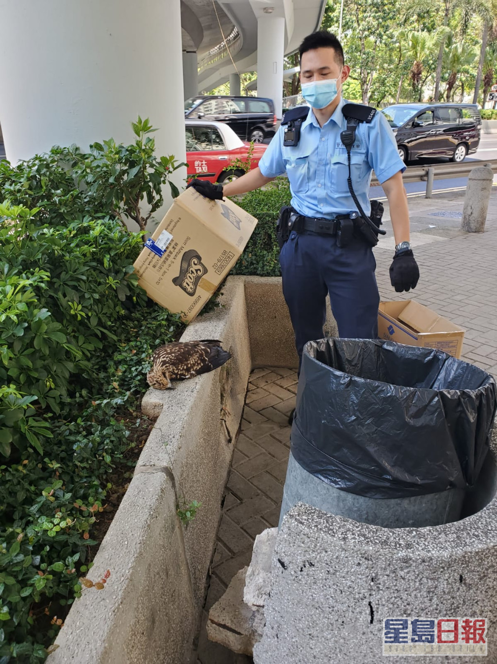 有警员找来纸皮箱备用。