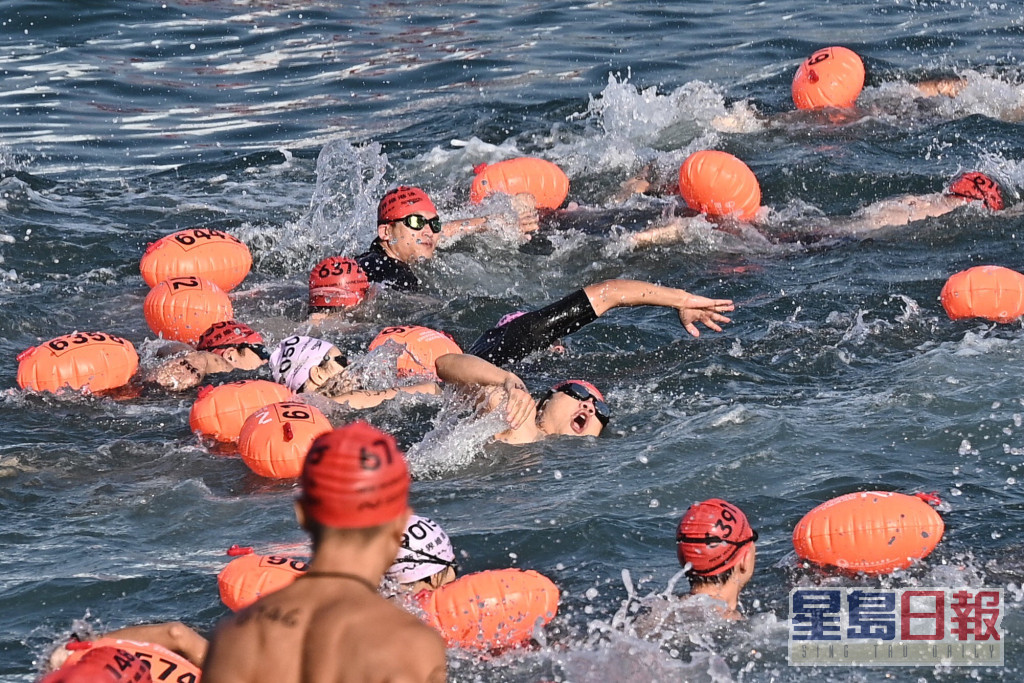 维港泳下月23日举行。资料图片