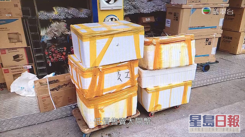 最近有间位于元朗嘅电器铺声称有大闸蟹可以大量转售，老板将一箱箱货就咁摆喺地。