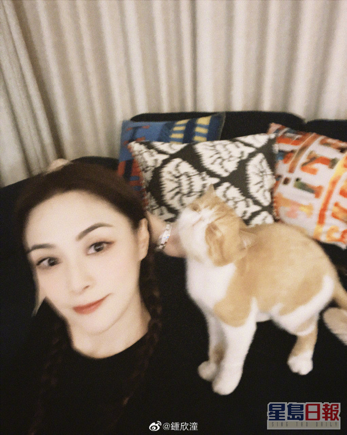锺欣潼闲时爱玩猫猫。
