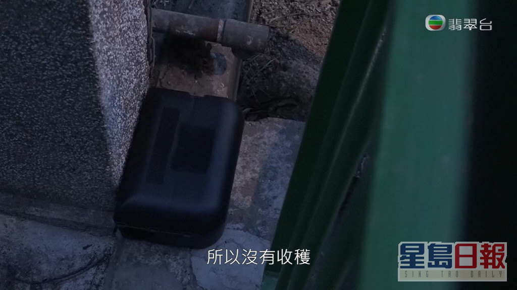 《东张》与灭鼠专家设置捕鼠器，虽然有老鼠再侧边行过，但最后一无所获。