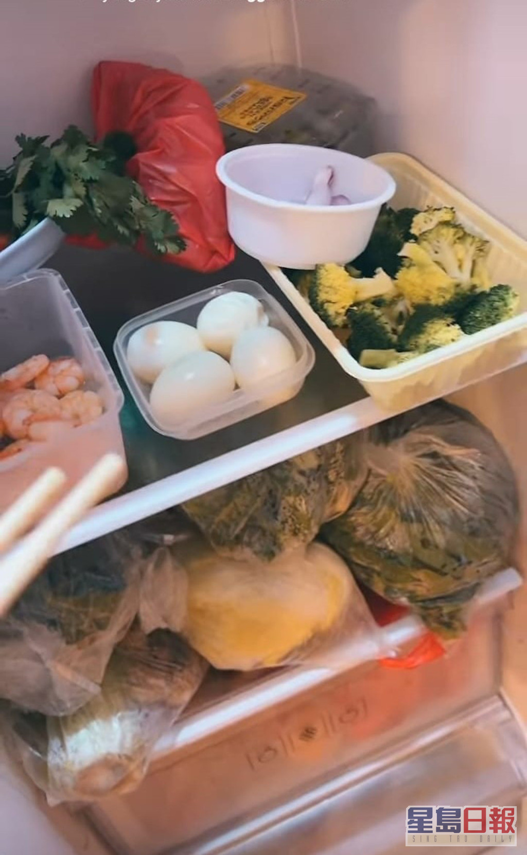 张栢芝拍片打开家中雪柜，公开自己的修身餐单。  ​