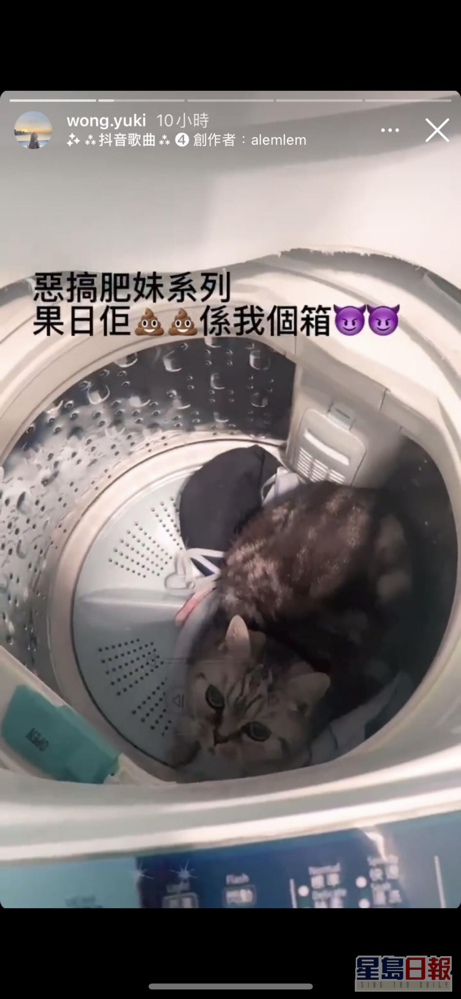 去年2月黃嘉雯家姐黃綺婷在ig上載一段疑似虐貓影片，引起網民捕警，其後她在屯門寓所被捕。