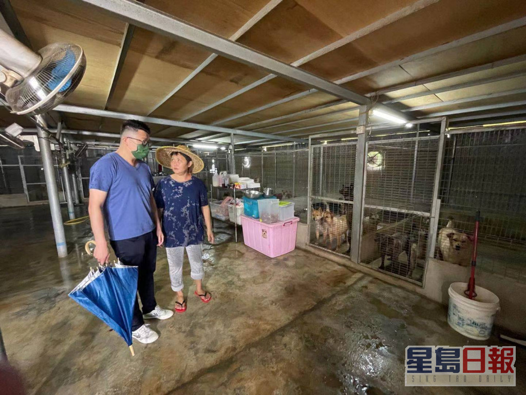刘国勋到访位于粉岭、收容约超过100只动物的「傻妈流浪猫狗之家」。