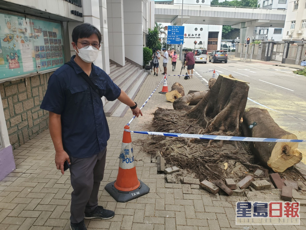 长春社总监苏国贤估计大树受真菌侵蚀影响令树根腐烂，导致树木支撑不足倒塌。