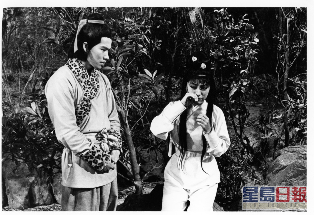 1976年在《射鵰英雄傳》演出黃蓉一角，令她大受歡迎。