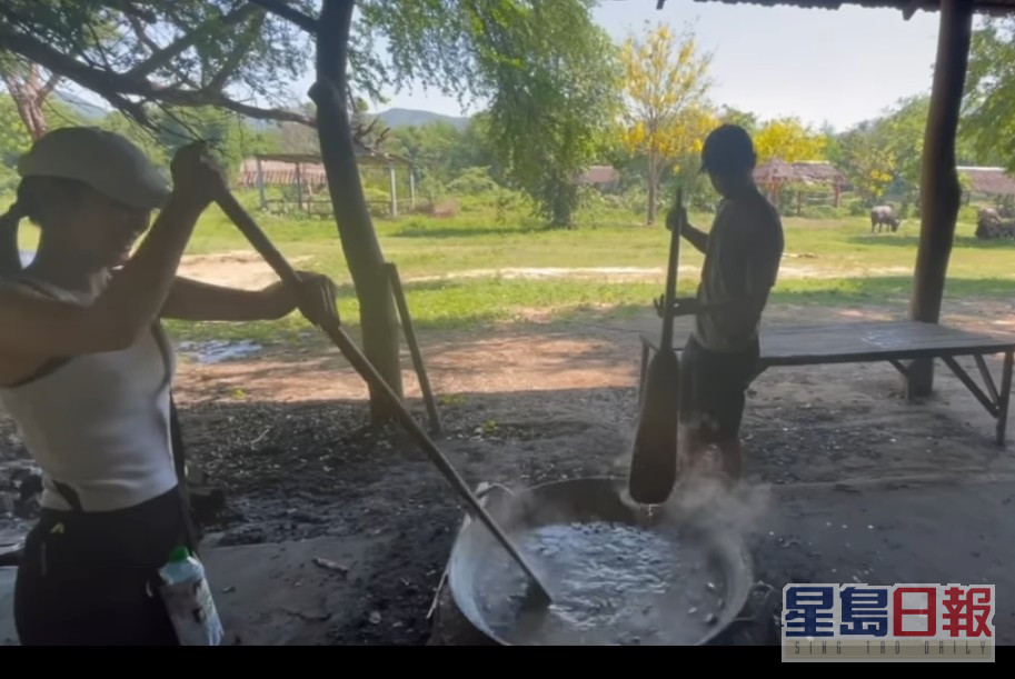 帮72岁大象嫲嫲煮香蕉糯米饭。