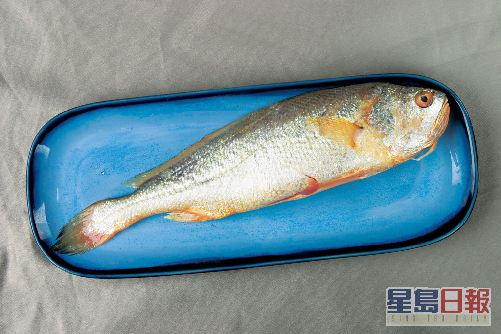 黄花鱼是属于水银（汞）含量则较低的鱼类。资料图片