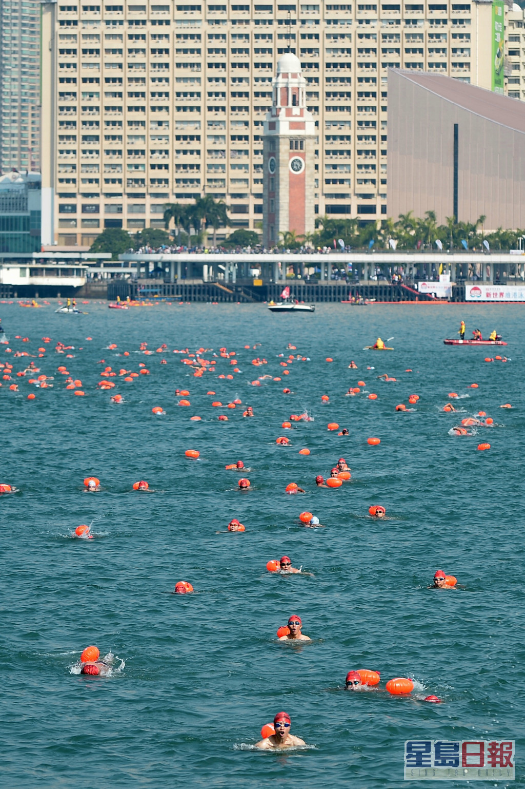 「维港渡海泳」本周日(10月23日)举行。资料图片