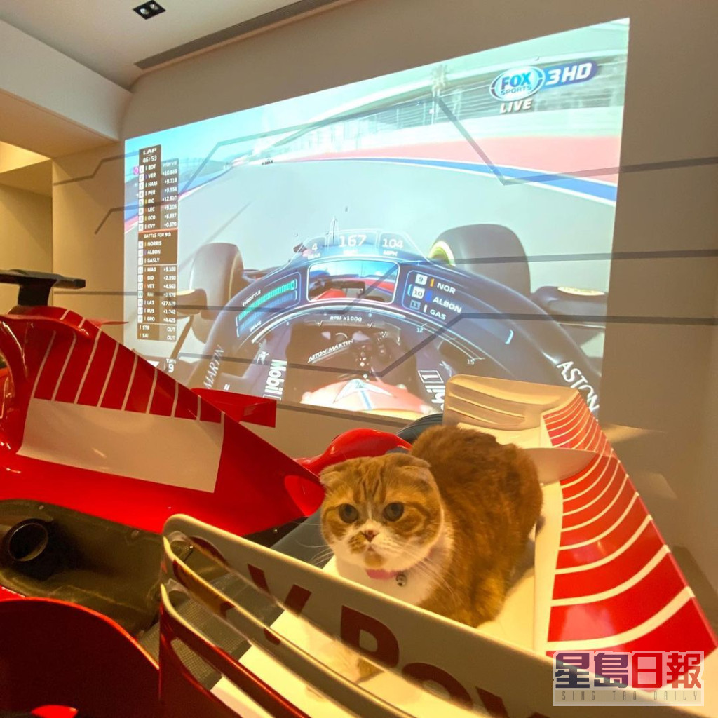 F1法拉利赛车展品旁边又有投影机。